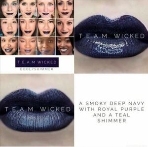 New & Sealed LipSense Team Wicked